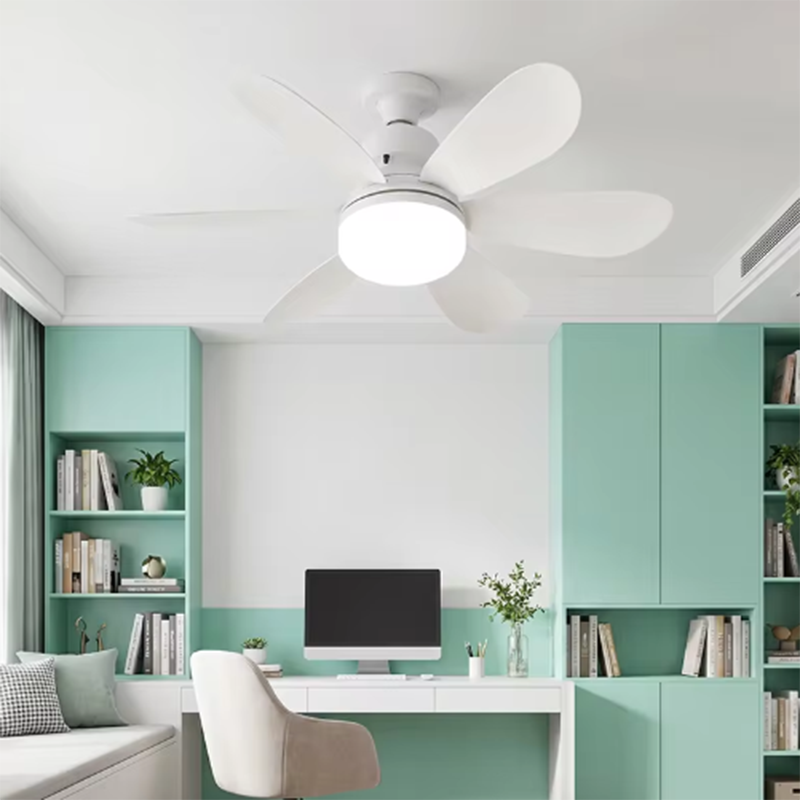 2026 New E26/E27 Screw Mount F - огляд і ціна Ceiling Fan Mount