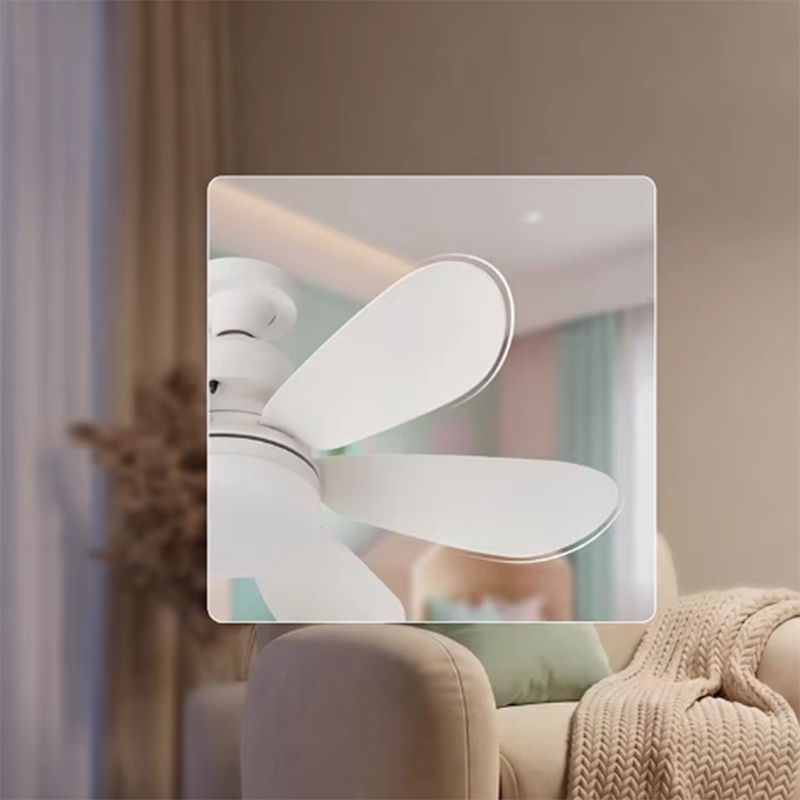 40W E27 LED Ceiling Fan Light  - огляд і ціна Ceiling Fan Mount